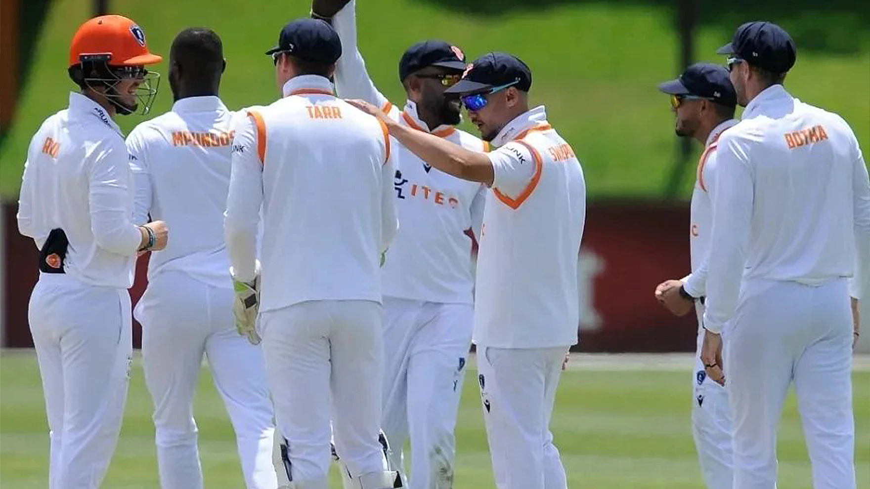 Knights Cricket test team celebrate a wicket