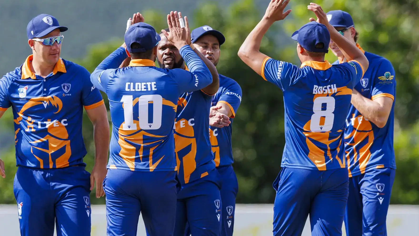 Knights Test cricket team celebrate a wicket